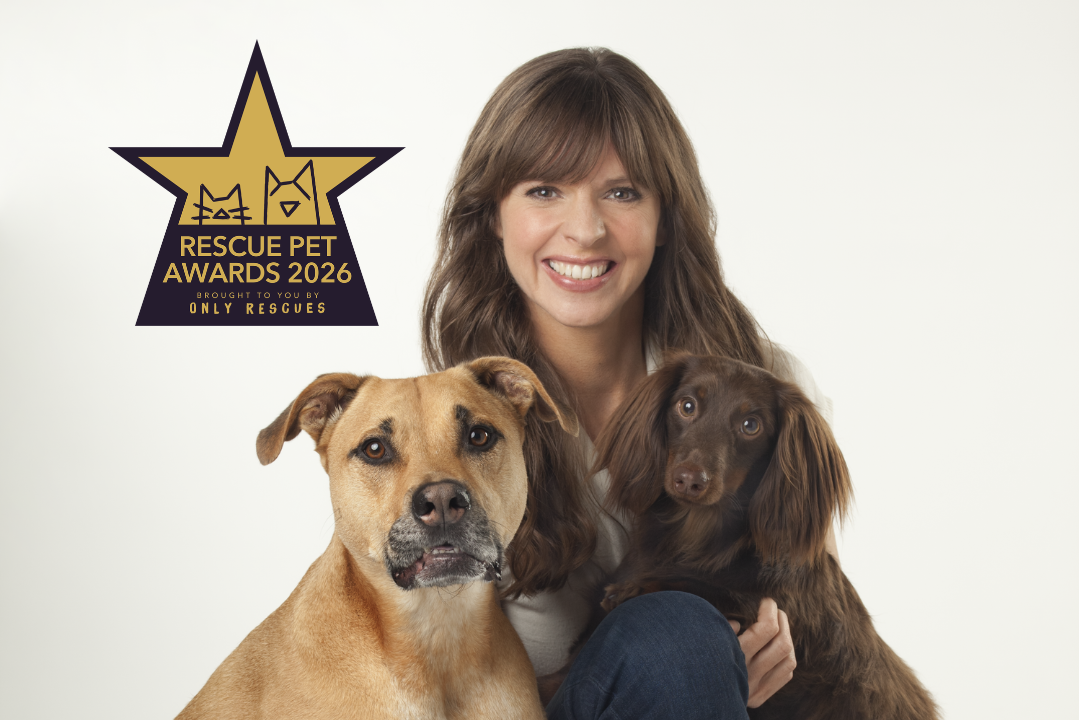 Mid Sussex business partners with inaugural Rescue Pet Awards 2026
