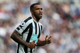 Callum Wilson of Newcastle United during the Premier League match between Newcastle United and Nottingham Forest 
(Photo by Jan Kruger/Getty Images)