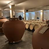 Barrel and Amphora Cellar at Chateau La Tilleraie ©Richard Esling WineWyse