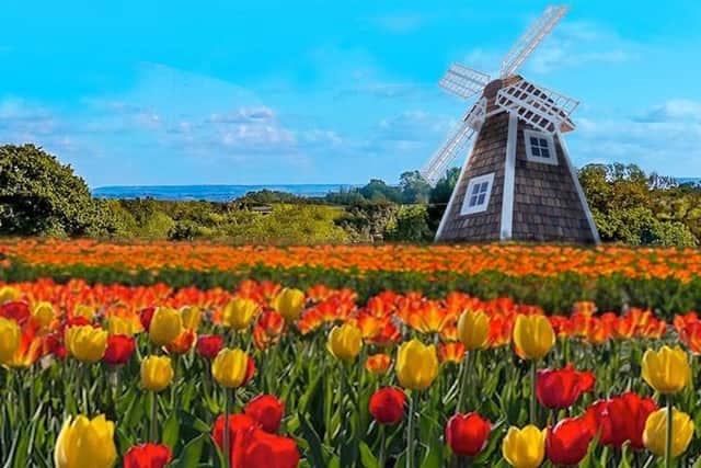 Windmill with Crawley Downs View 