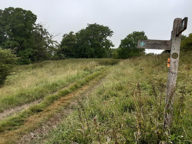 Unlike the Brighton and Hove Way, the South Downs Way is clearly signposted and easy to follow.