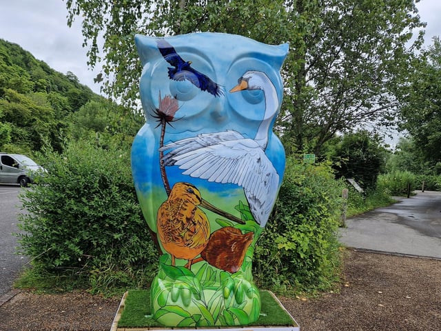 Colourful owls have flown into Arundel as part of the Wild in Art event The Big Hoot trail, raising money for Chestnut Tree House.