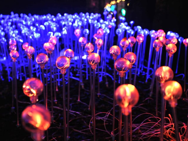 Belgian artists Tom and Lien Dekyvere's famous green maze Rhizome takes light up above people's heads to mirror shapes created at floor level; while the immersive Lazer Forest features a colourful medley of lights in sync with a specially composed music score.