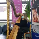 Professional harpist, Fiona Hosford performing at the Conquest