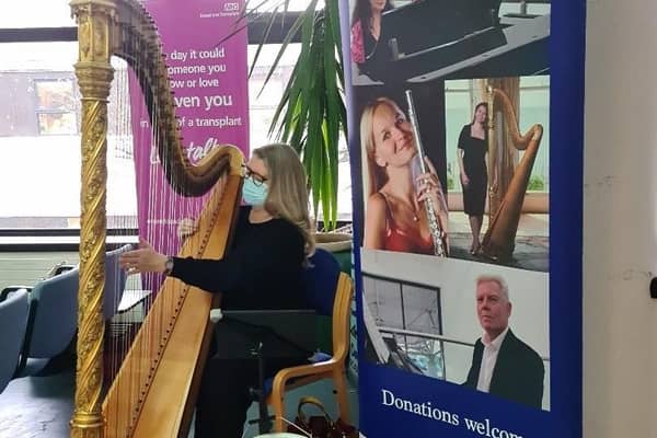 Professional harpist, Fiona Hosford performing at the Conquest