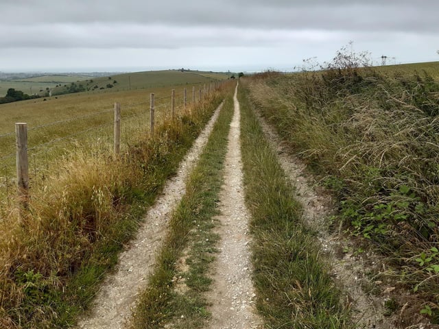 And it does get wider as you go downhill, as you can see here.