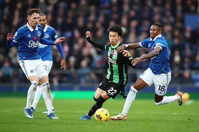 Brighton player ratings v Everton as three score 7/10 and one 5/10
