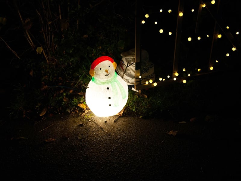 Westfield Christmas Lights 2023. Photo by Frank Copper.