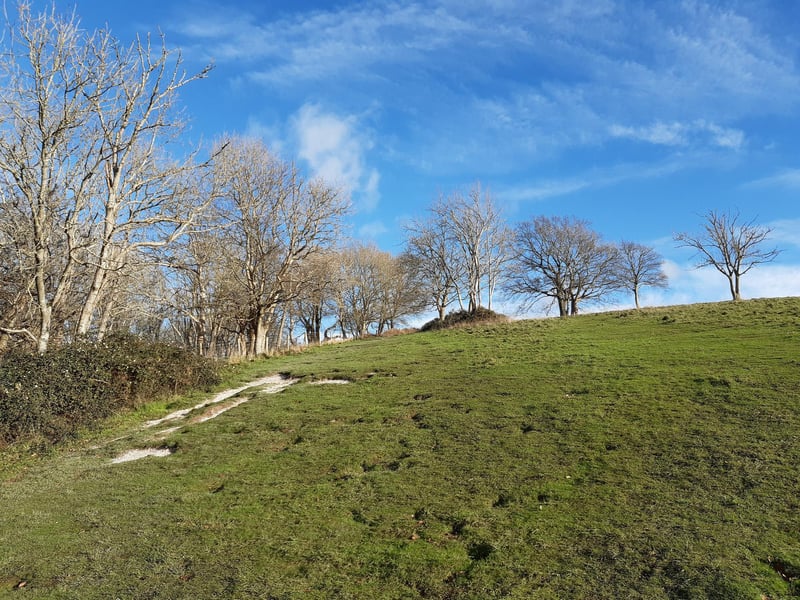 This part of the walk is very steep and at this point you cannot see Cissbury Ring but bear with it, one foot in front of the other, and you will be rewarded. Walk straight up, passing a small clump of trees (centre), which you can pass either side.