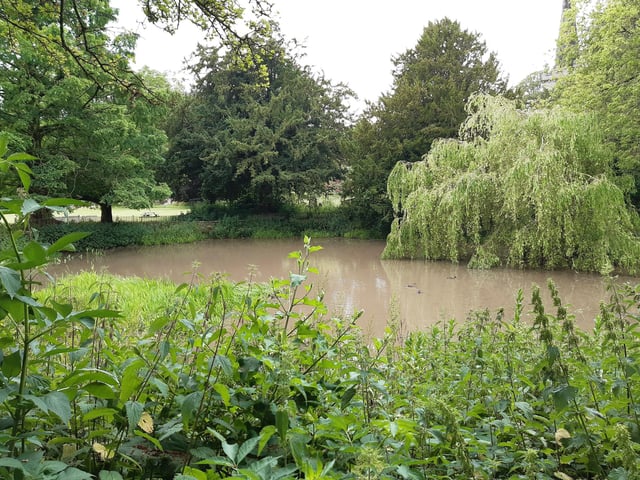 The Brighton and Hove Way takes us round to the left of the pond