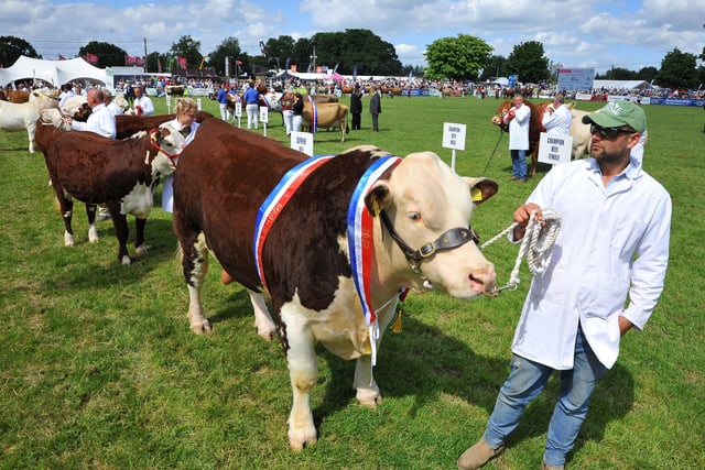 The South of England Show 2022 at Ardingly