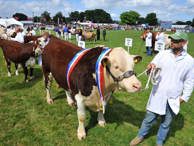 The South of England Show 2022 at Ardingly