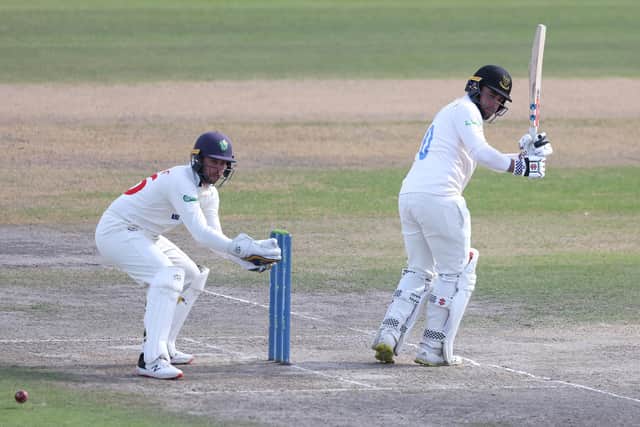 Tom Haines bats during the LV= Insurance County Championship match between Susssex and Glamorgan at Hove in 2022 (Photo by Warren Little/Getty Images)