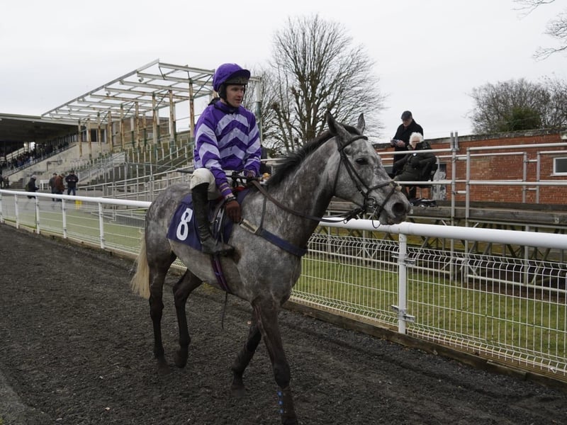 National Spirit Hurdle race day 2025 at Fontwell Park