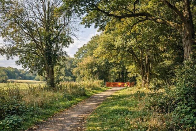 ‘Essential’ tree safety work is set to take place at Washington Copse near Petworth.