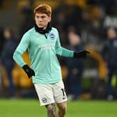 WOLVERHAMPTON, ENGLAND - FEBRUARY 28: Valentin Barco of Brighton warms up ahead of the Emirates FA Cup Fifth Round match between Wolverhampton Wanderers and Brighton & Hove Albion at Molineux on February 28, 2024 in Wolverhampton, England. (Photo by Mike Hewitt/Getty Images)