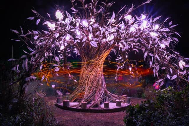 Tree of Life at Glow Wild, Wakehurst, James Ratchford. 