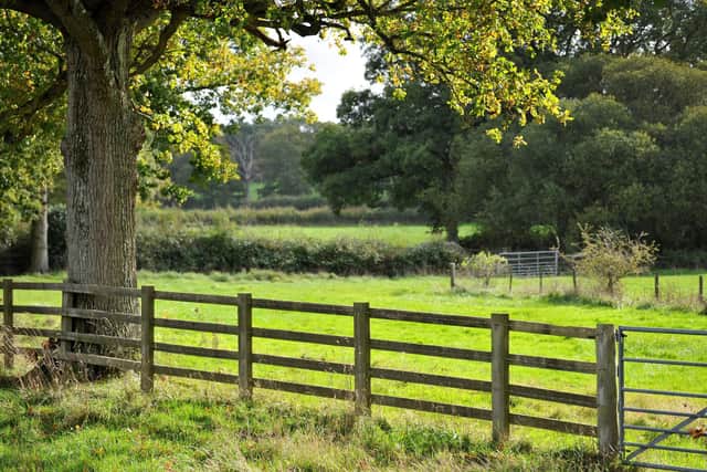 Farmer Ralph Dickson fears his plans to plant thousands of trees on his land in Cowfold as part of the Queen's Green Canopy could be wrecked by proposals by Rampion wind farm to run underground cabling in the area.. Pic S Robards SR2210261