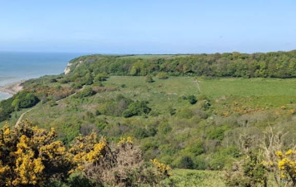 A beautiful walk that takes you through stunning coastal scenery, woodland, and meadows. You can also see the ruins of Hastings Castle and enjoy panoramic views of the English Channel