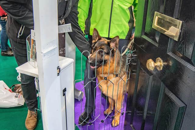 A Horsham-based dog gate inventor is supporting National Dog Awareness Week (July 3 – 9) to raise awareness of the number of dog attacks on postal and delivery workers. Photo: MARTIN HUMBY WORLDWIDE