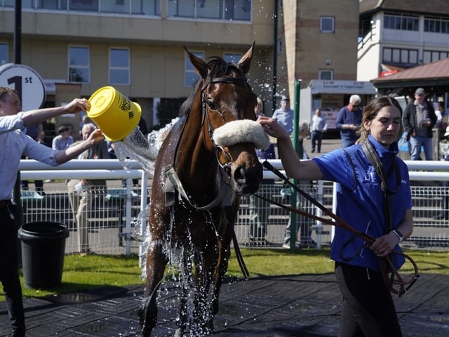April jump racing at sunny Fontwell Park