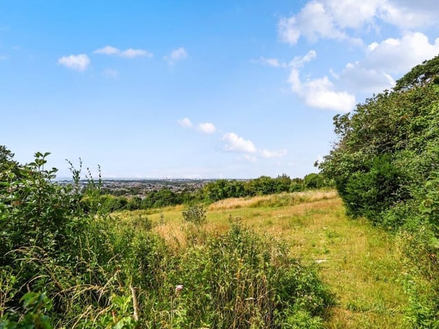 The view from the large rear garden