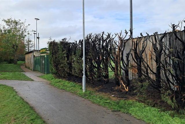 Sussex Police said it was ‘fortunate that no one was injured’