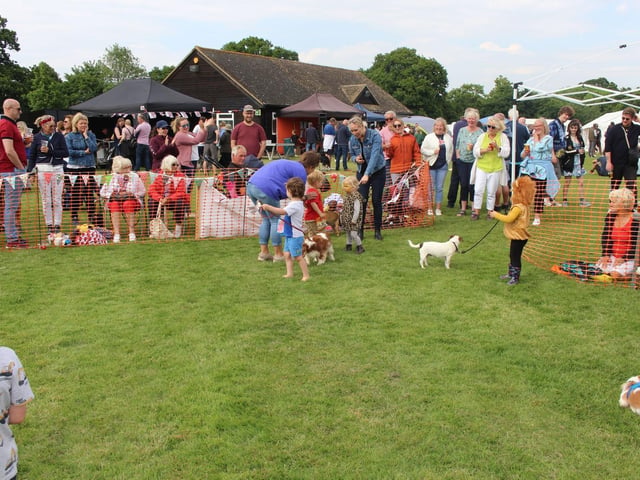 The fete took place at KGV playing fields in Partridge Green, raising money for local charities and Jolesfield C of E Primary School
