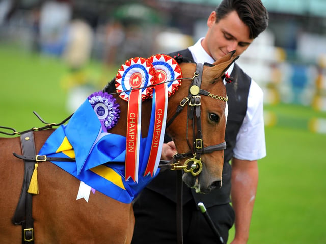 The South of England Show 2022 at Ardingly runs from Friday to Sunday, June 10-12