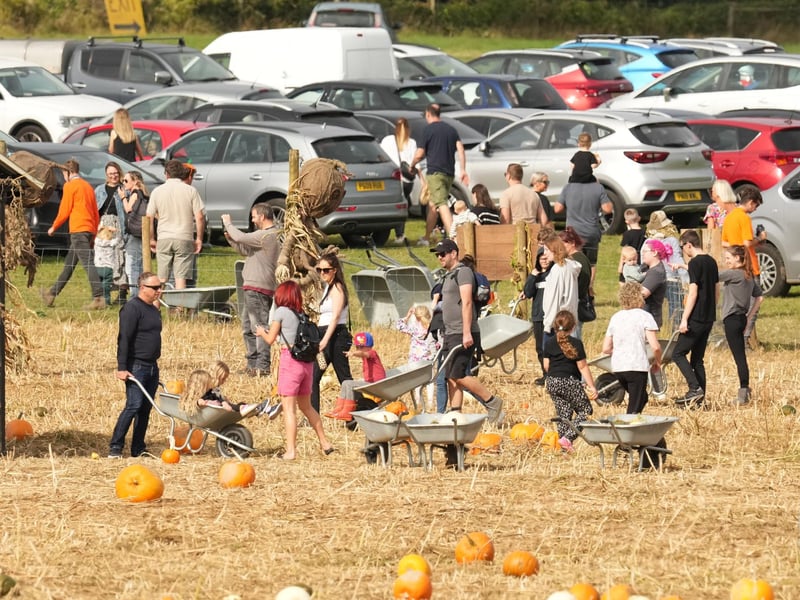 Based at Lychpole Farm just off the A27, family-run picking patch Sompting Pumpkins is open for business again this year. Picture: Eddie Mitchell