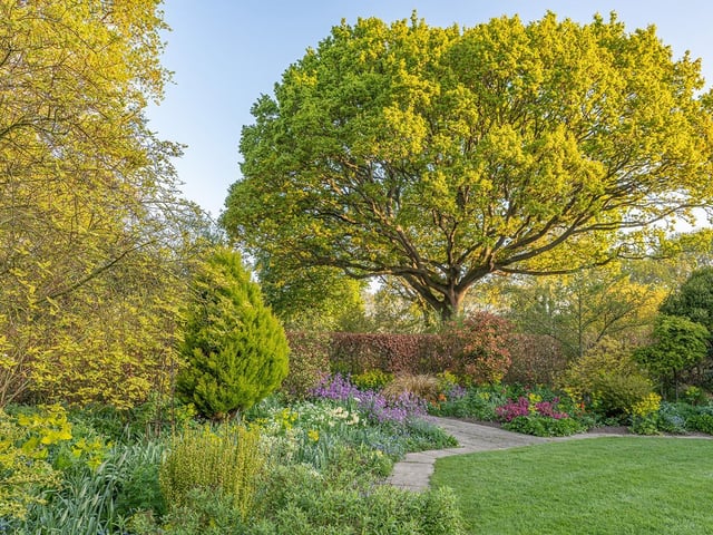 View of mixed borders flowering in an informal country cottage garden in Spring - April