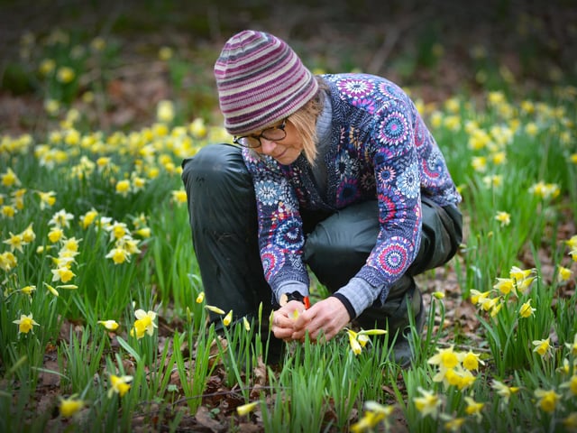 Emma Reece, head gardener at Bates Green Garden.
