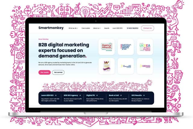 Smart Monkey Marketing new website