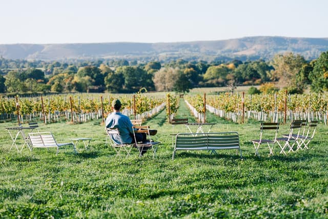 Artelium Wine Estate named among Britain’s most promising luxury brands in ...