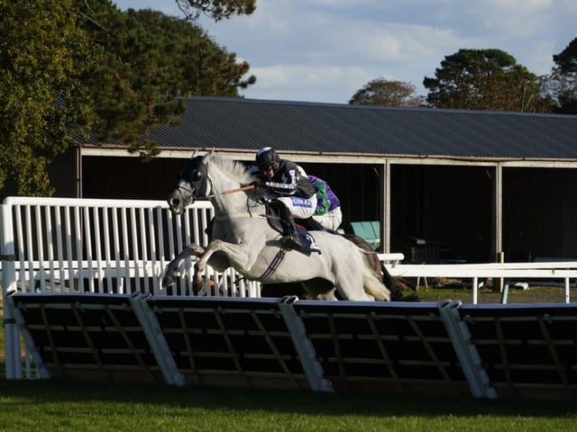 Early autumn racing at Fontwell Park, September 2025