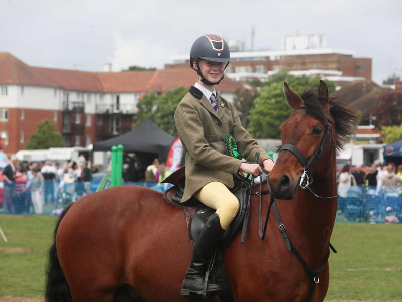 Bexhill Horse Show 2025. Photo by Roberts Photographic.