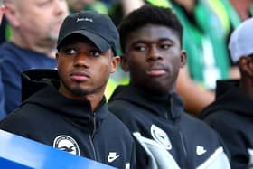 New Brighton & Hove Albion signings Ansu Fati (left) and Carlos Baleba watch on from the stands as Brighton beat Newcastle at the Amex Stadium