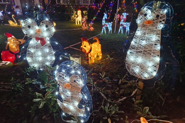 The animal-themed Christmas lights display at 22 Gorse Avenue, Worthing, has been put together by John Wollaston Landscapes and Property Maintenance to raise money for Wadars Animal Rescue Charity.