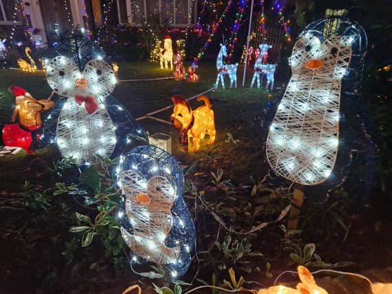 The animal-themed Christmas lights display at 22 Gorse Avenue, Worthing, has been put together by John Wollaston Landscapes and Property Maintenance to raise money for Wadars Animal Rescue Charity.