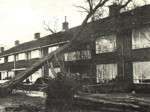 Great Storm 1987 - Crawley