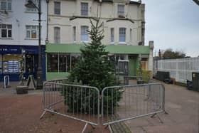 Bexhill's 2023 Christmas Tree in Devonshire Square.