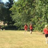 A record number of Mid Sussex school children are participating this year.