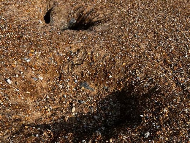 Sinkholes on Eastbourne beach