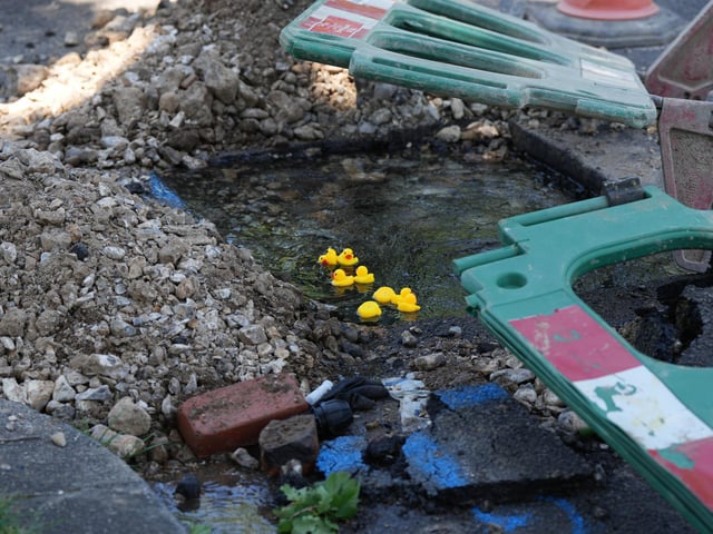 A Worthing resident put rubber ducks into a pond created by a water leak in Worthing