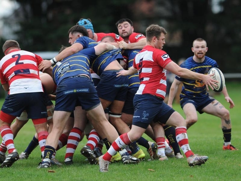 Worthing Raiders v Dorking