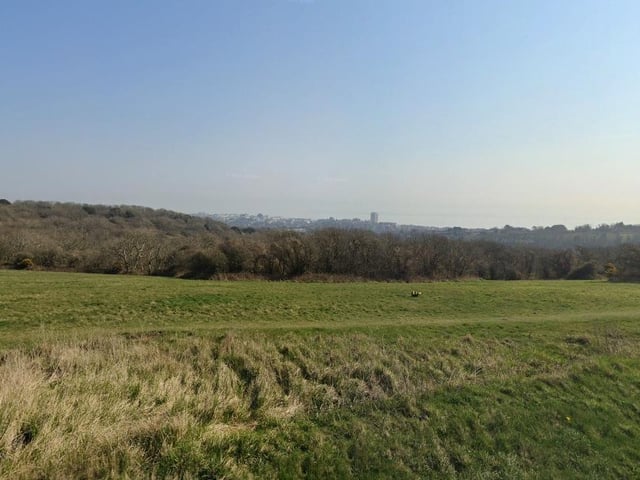 "Walking the dog on the Downs surrounding Eastbourne. Plenty of nice tracks, fresh air and dog friendly pubs serving lunch and decent IPAs."