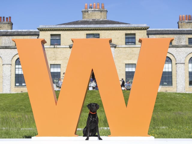The dog event featured competitions for top canine athletes; wellness workshops; talks from key behavioural and veterinary experts amongst other activities across the weekend. Photo: Kieran Cleeves, PA.