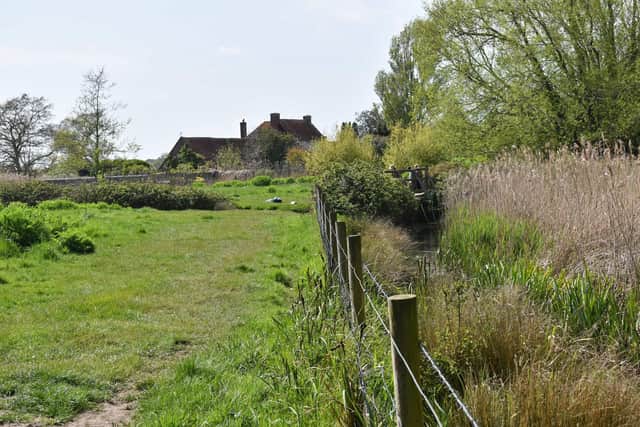 Fishbourne Meadows – could this be the hidden site of Britain’s first deer park? Picture: Sussex Archaeological Society