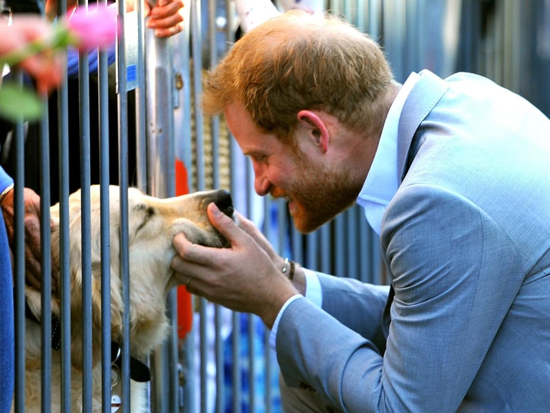 Harry and Meghan, Duke and Duchess of Sussex visit Chichester. Pic Steve Robards SR1825267