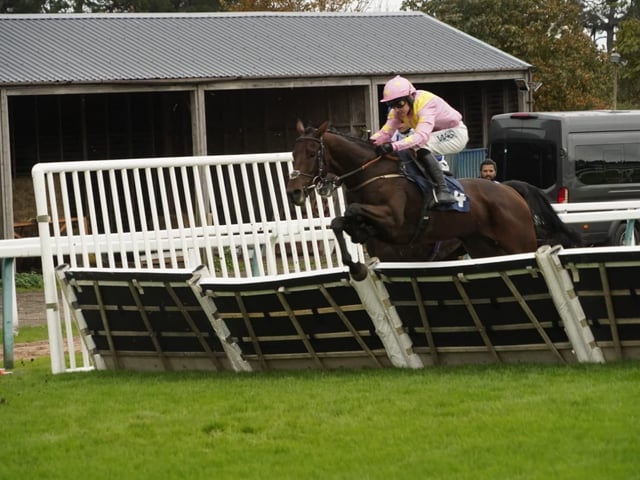 Fontwell Park jump racing action, October 2026